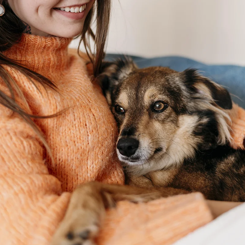 Perros y gatos en adopción en Mallorca