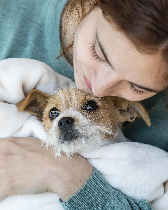 Perros y gatos en adopción en Mallorca